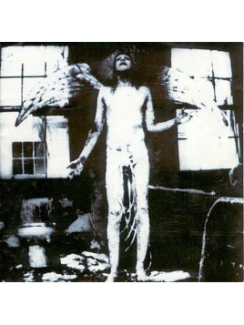 Antichrist superstar (CD)