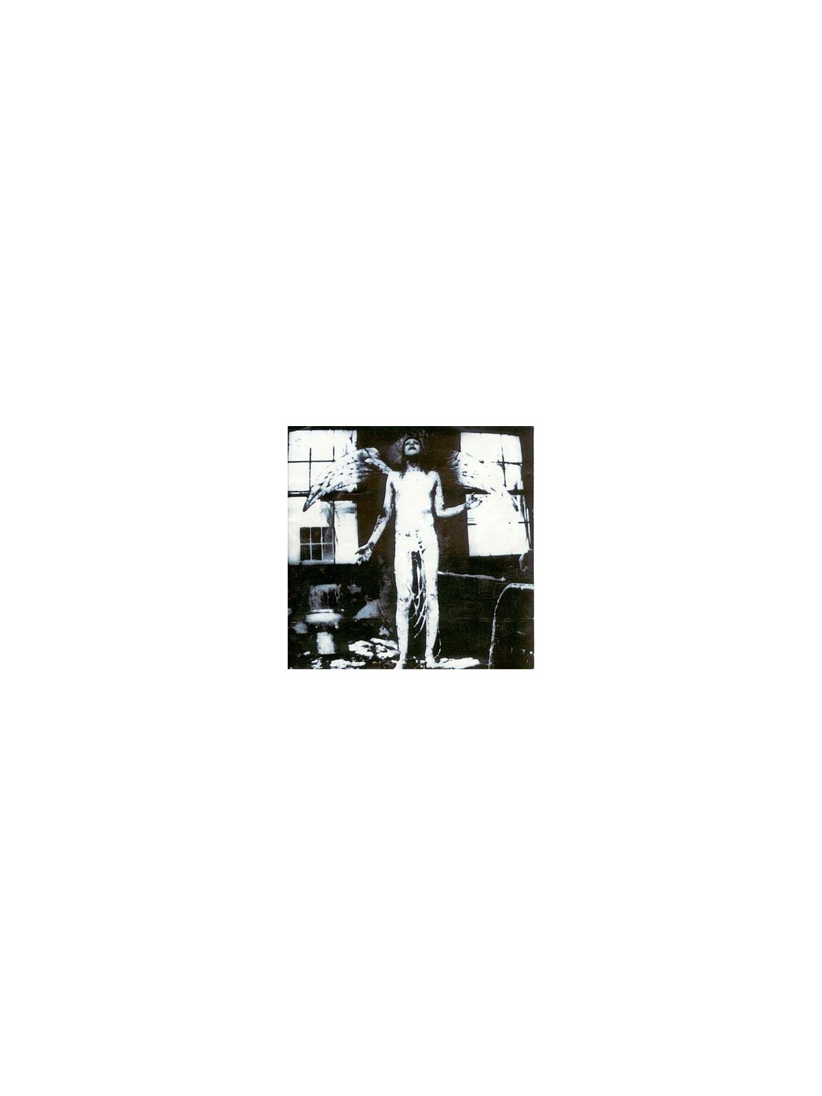 Antichrist superstar (CD)