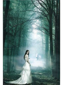 Affiche The white lady