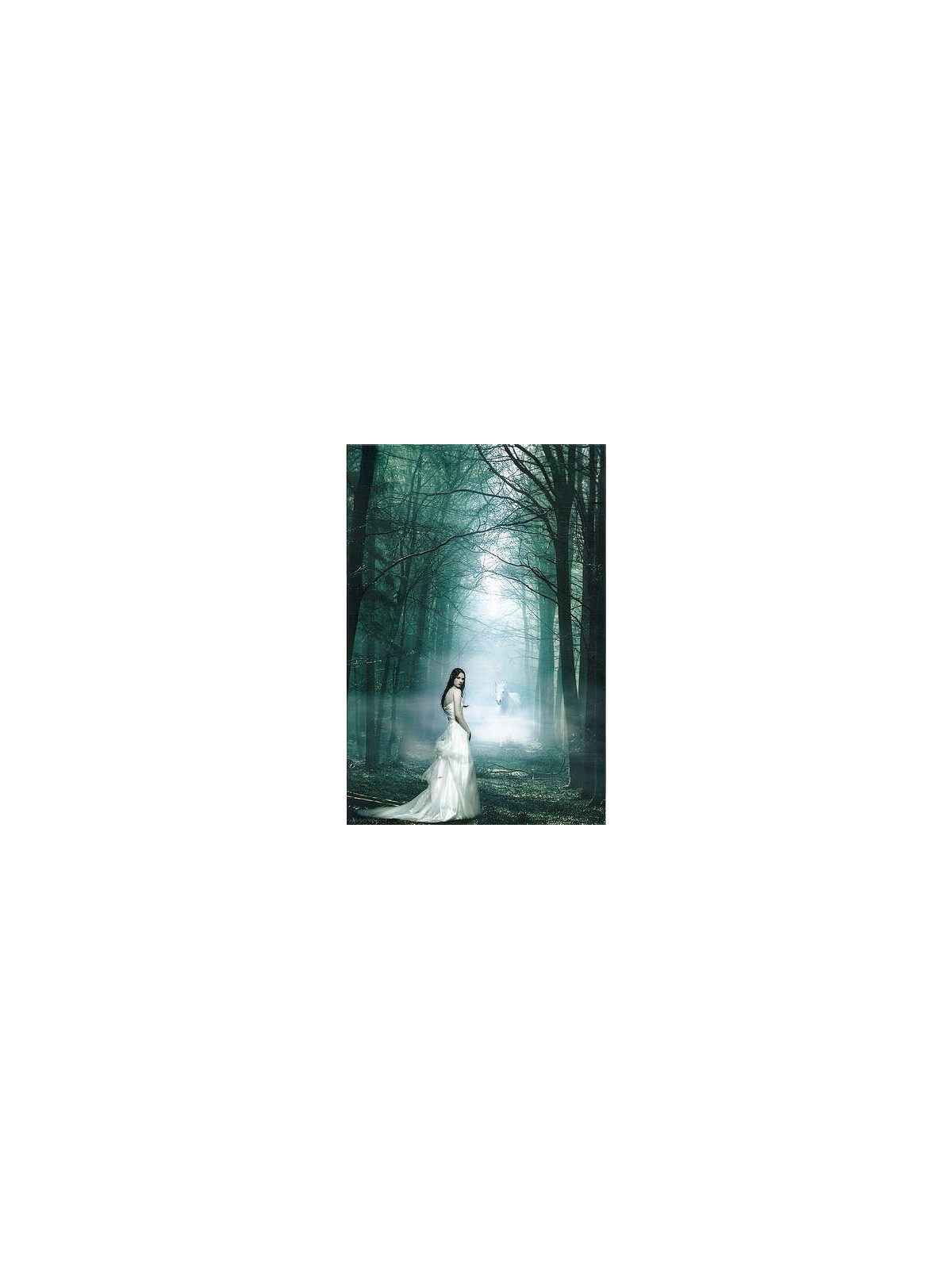 Affiche The white lady