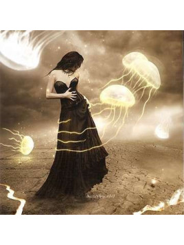 Affiche Jellyfish
