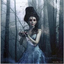 Carte postale Spider queen
