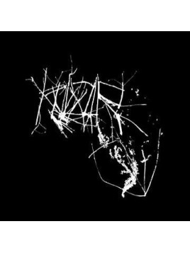 Klor (CD)