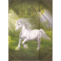 Notes-book Licorne au galop, grand format