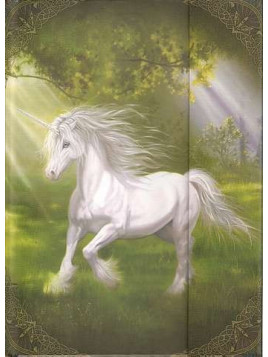 Notes-book Licorne au galop, grand format