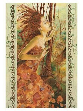 Affiche La dame verte