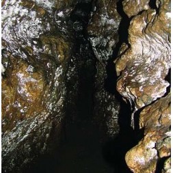 Dark meditations on monastic seclusion (Ltd edition CD)