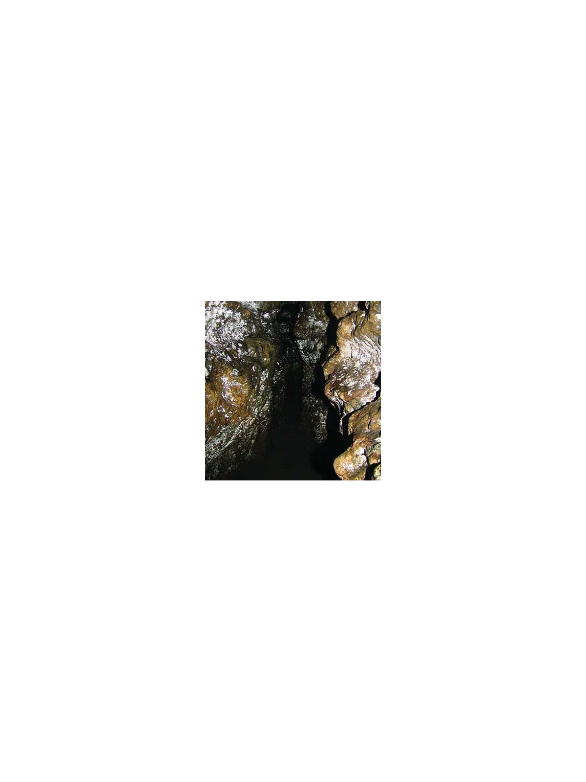 Dark meditations on monastic seclusion (Ltd edition CD)