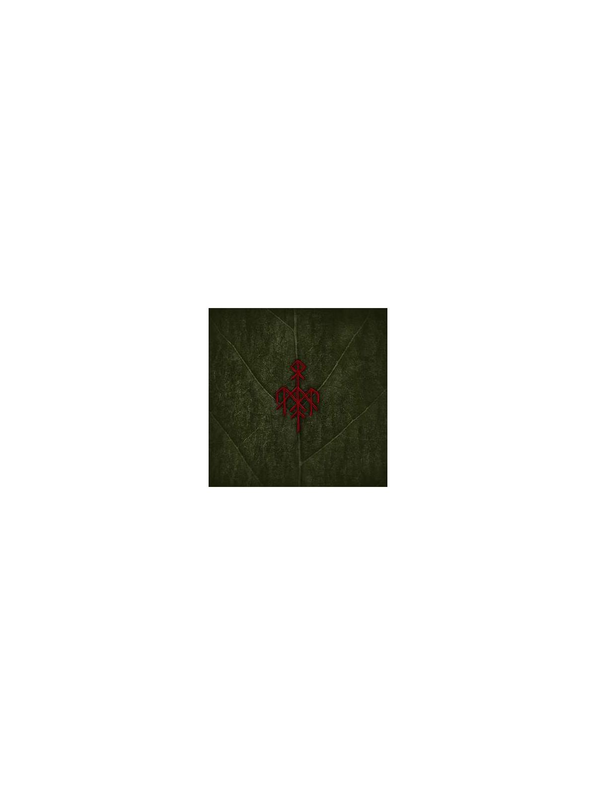 Wardruna disque Runaljod - Yggdrasil en stock en cd à ciel rouge dijon