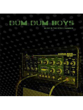 Alive in the echo chamber (12'' vinyl)