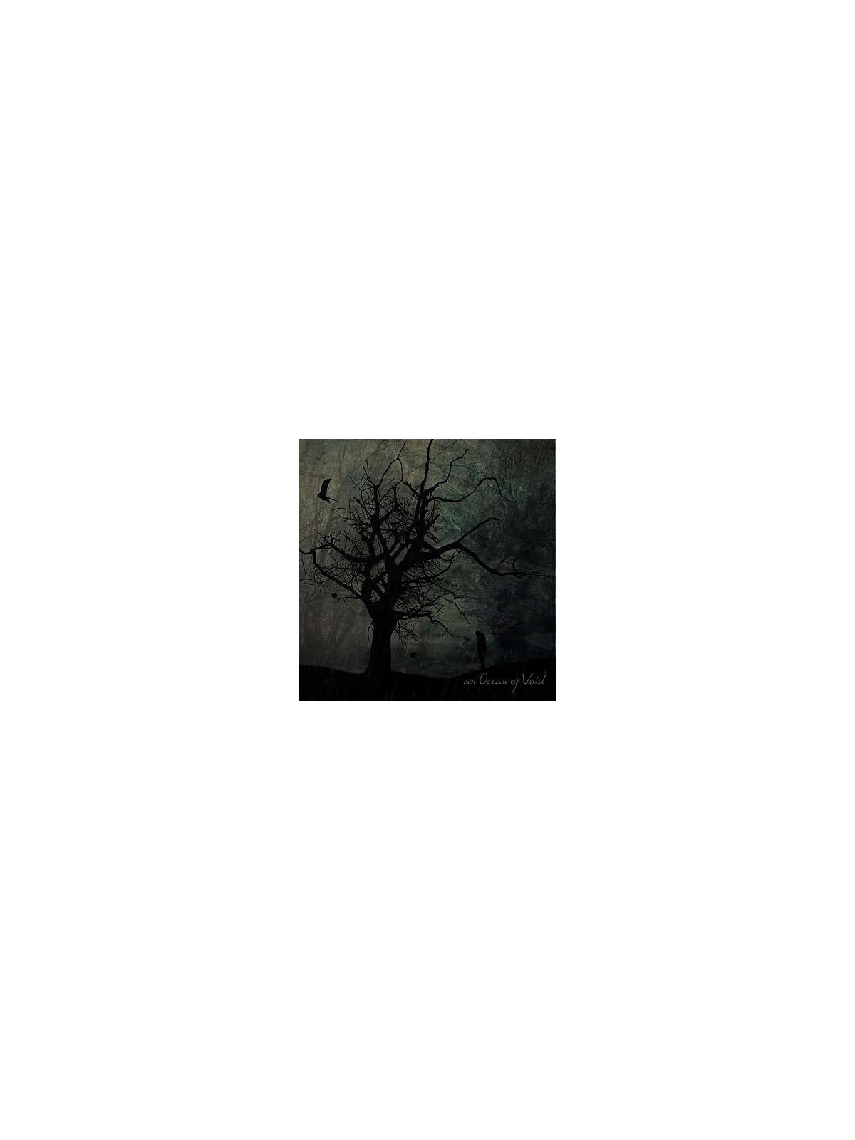 An ocean of void demo 2012 (CD)