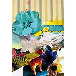 Edelweiss Müller (DVD)