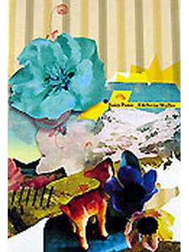 Edelweiss Müller (DVD)