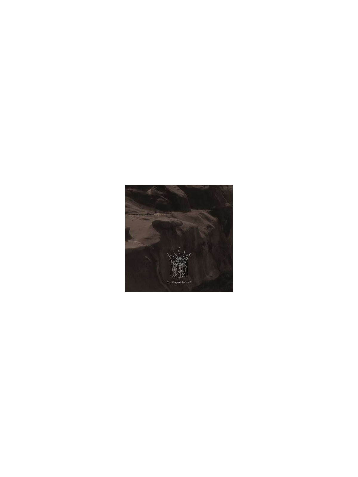 The cusp of the void (CD)