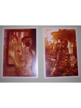 Lot de cartes Amandine Labarre
