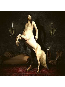 My love is a bulldozer (CD)