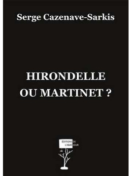 Hirondelle ou martinet ?