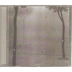 Something is missing (CD)