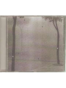Something is missing (CD)