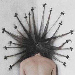 A northern meadow (CD)