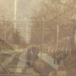 Folding in on itself (CD)