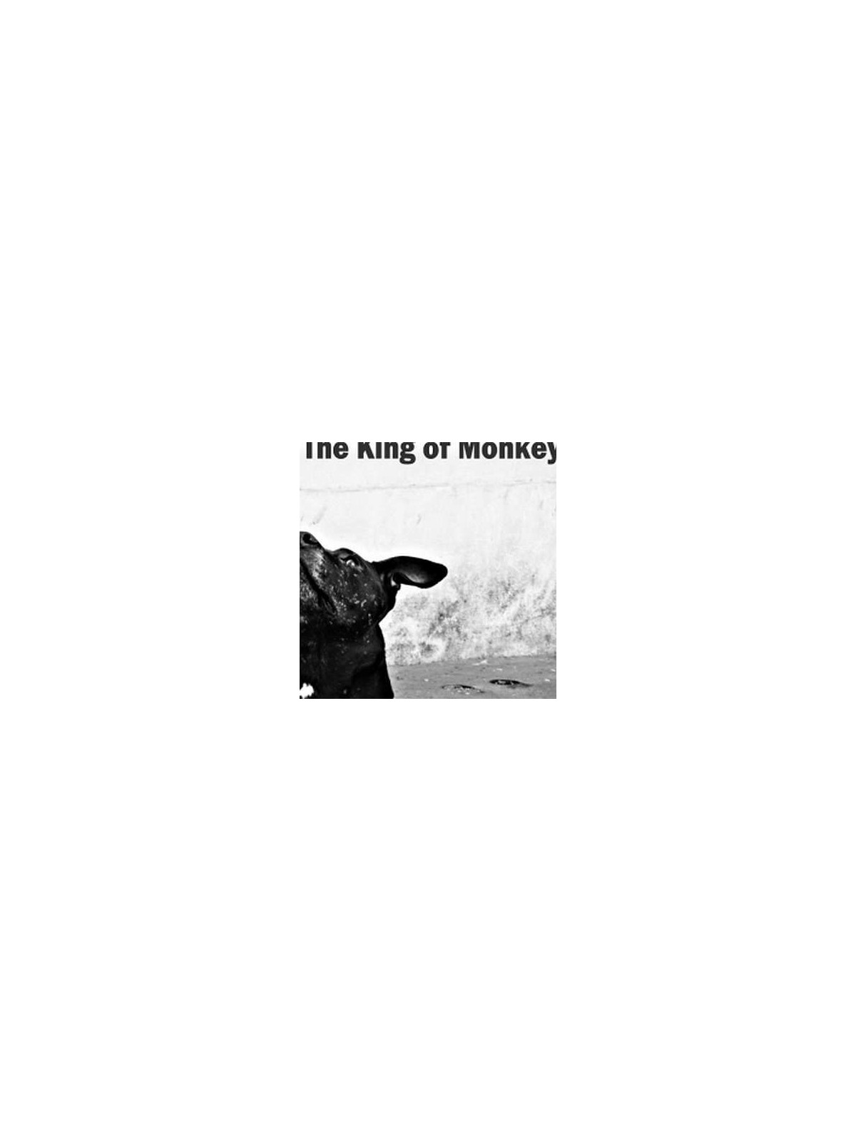 Let the dogs bark (Ltd edition CD)