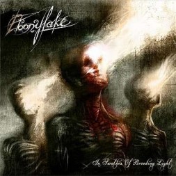In swathes of brooding light (CD)