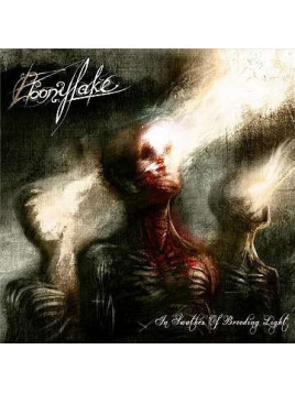 In swathes of brooding light (CD)