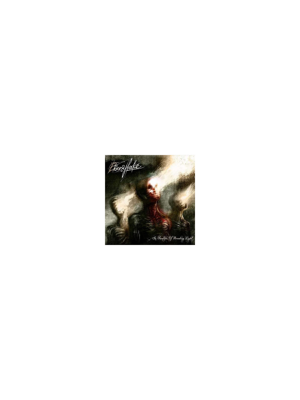 In swathes of brooding light (CD)
