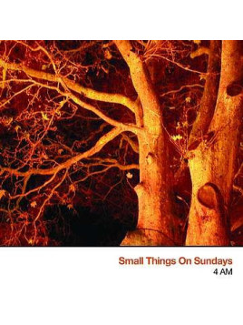 4 AM (Ltd edition CDr)
