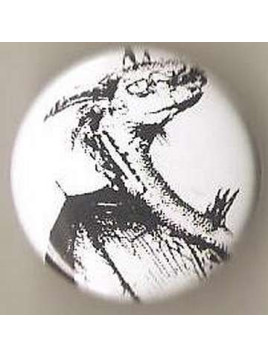 Badge dragon
