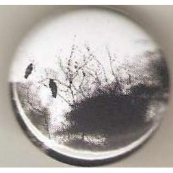 Badge Paysage avec oiseaux