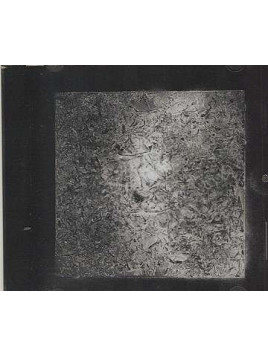 Staticism (Ltd edition Cd-r)