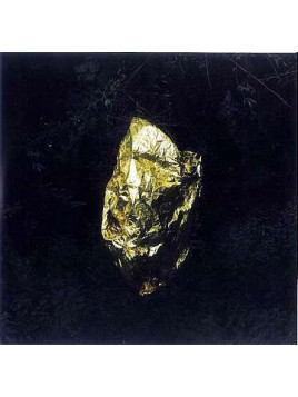 Stelle fisse (CD)
