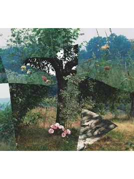 Simulacra (CD)