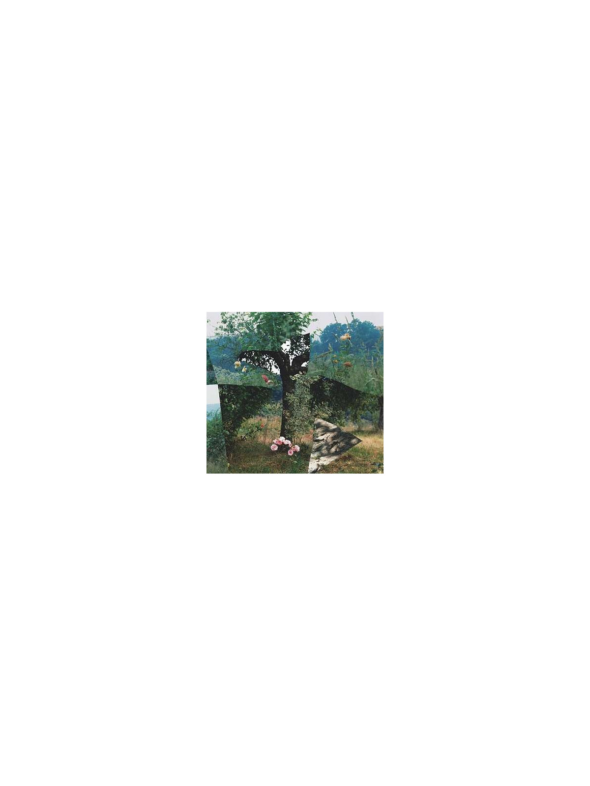 Simulacra (CD)