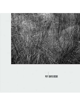 Sans cesse (12’’ vinyl)