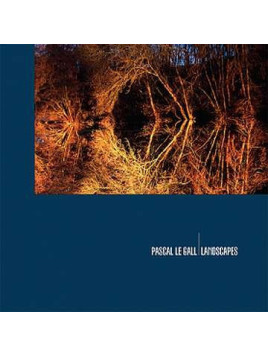 Landscapes (10'' vinyl)