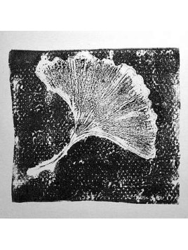 Ginkgo (Ltd edition CD-r)