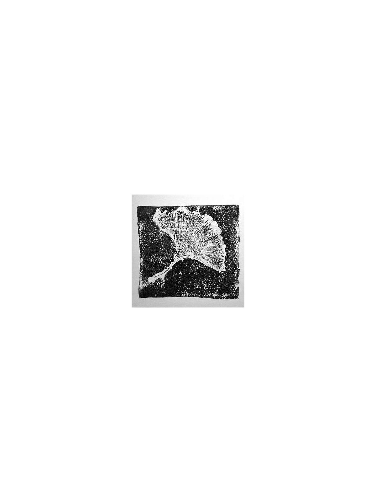 Ginkgo (Ltd edition CD-r)