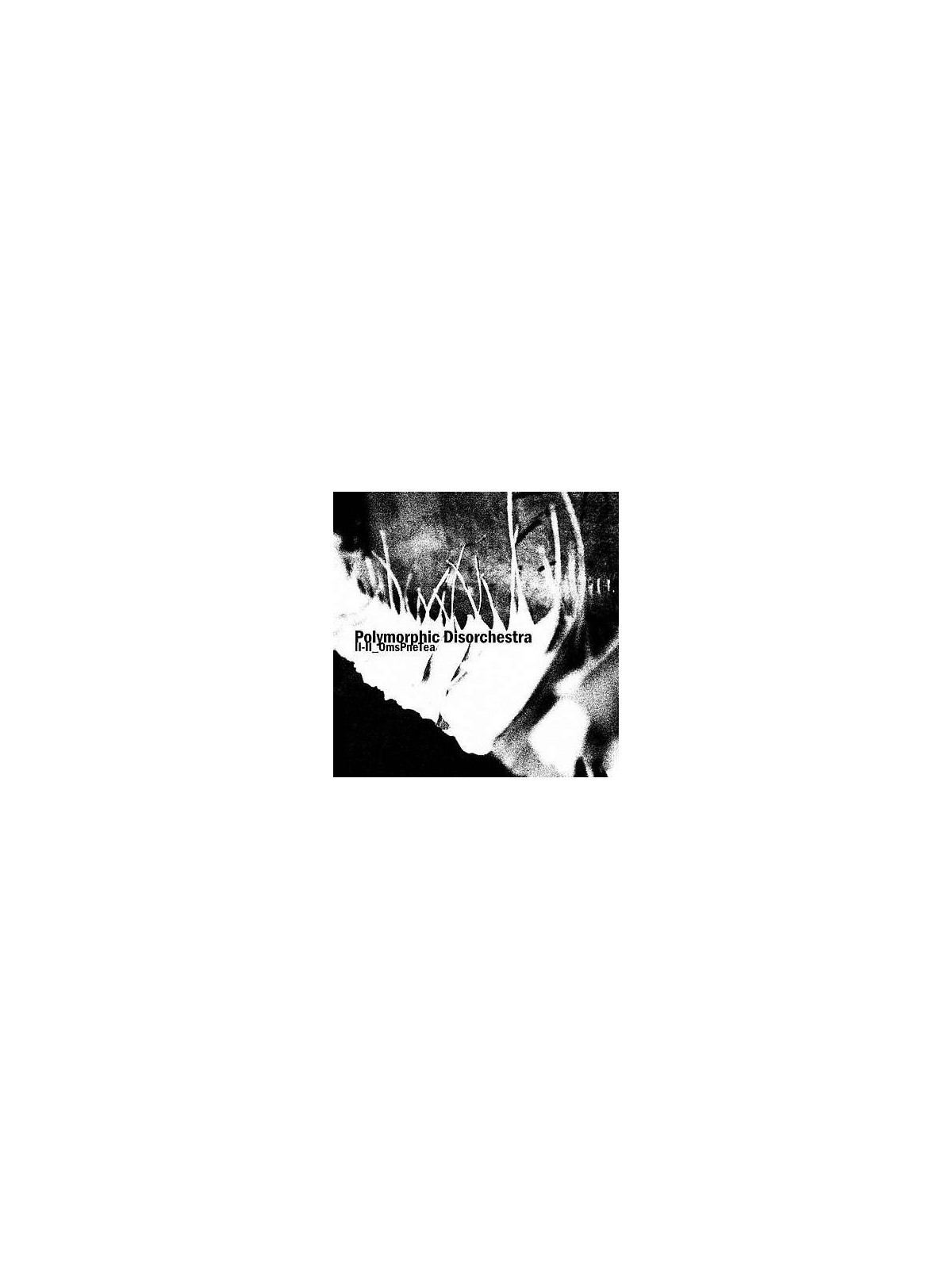 II-II_OmsPneTea (Ltd edition CD-r)