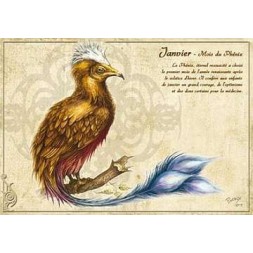 Carte postale Janvier – mois du phénix