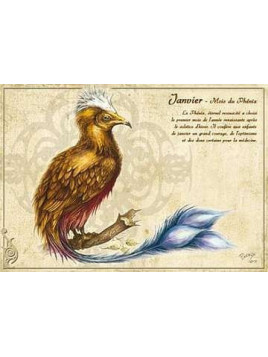 Carte postale Janvier – mois du phénix
