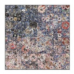 Seismology (Ltd edition CD)