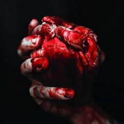 We owe you nothing (CD)