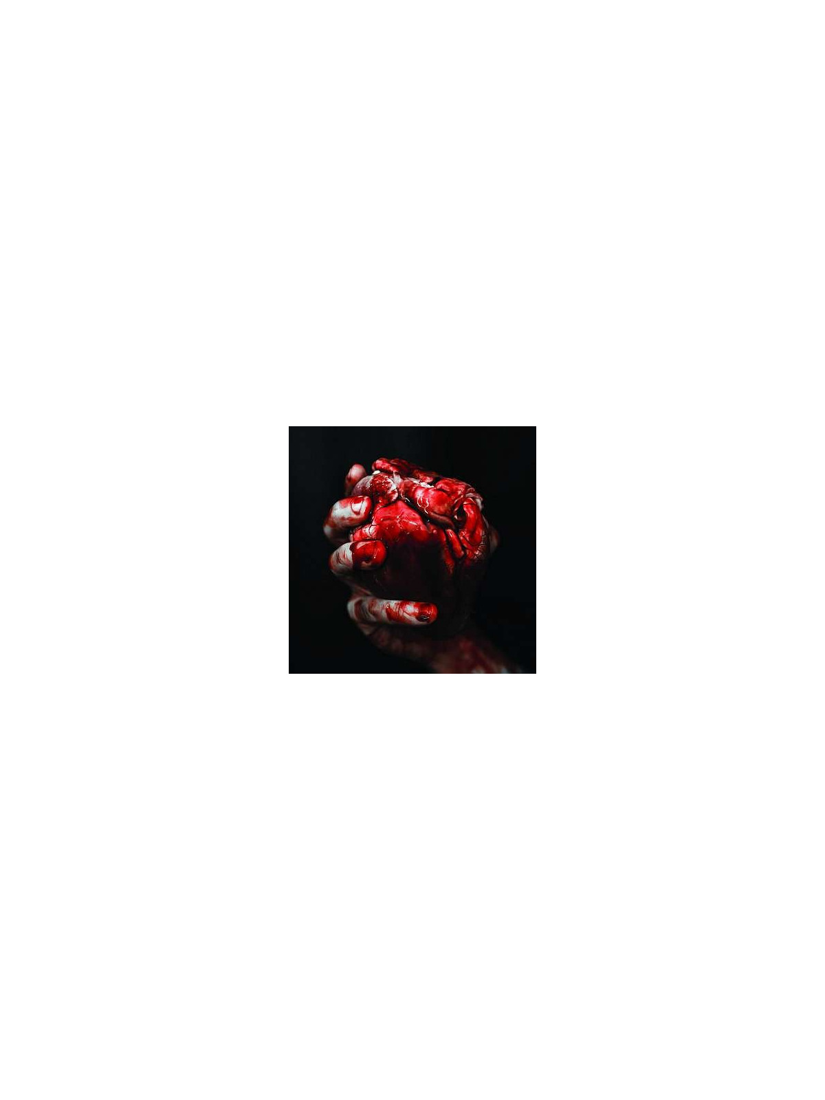 We owe you nothing (CD)