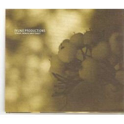 Syrup, bones and toast (Ltd edition CD)