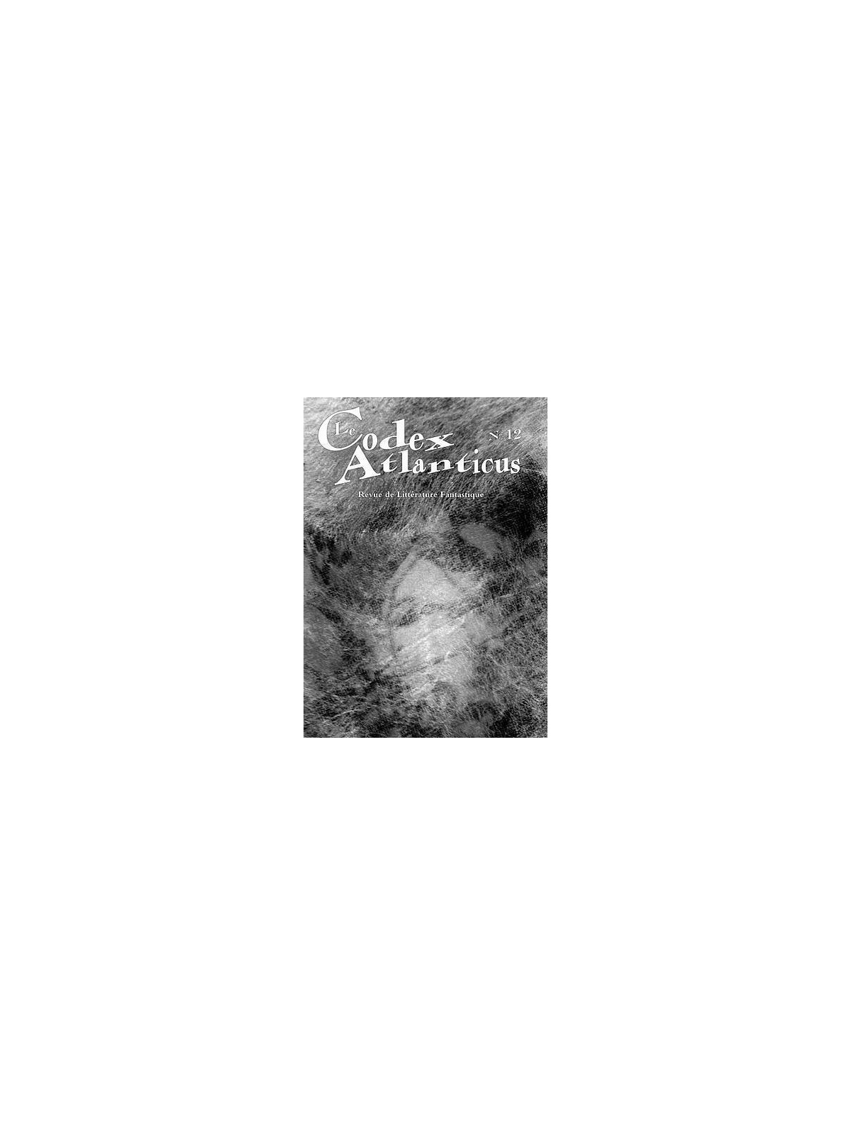 Codex atlanticus 12