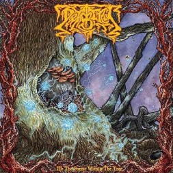III : the forest within the tree (CD)