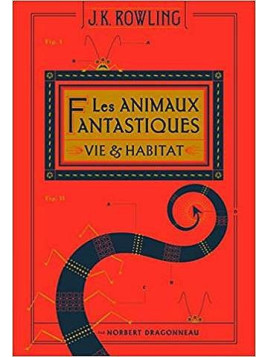 Harry Potter 1 : Harry Potter à l’école des sorciers